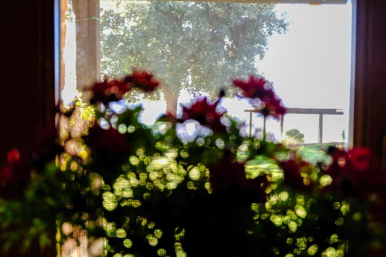 Agriturismo Poggio Monte Saturnia Eksteriør bilde